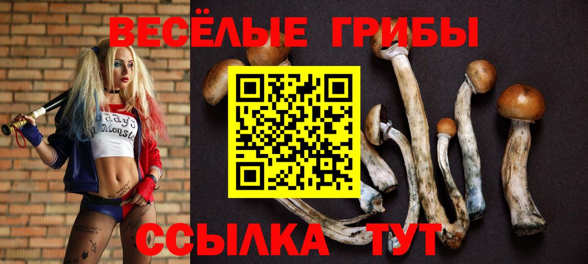Галлюциногенные грибы прущие грибы  Вход с VPN  Тамбов 